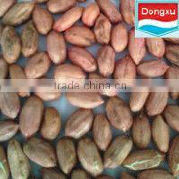 raw chinese peanuts for sale