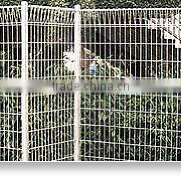 BRC mesh fence (High Quality)