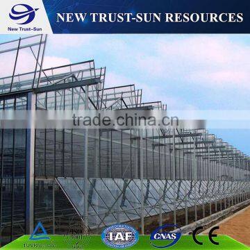 Low cost multi-span PC sheet/board greenhouse for vegetable/flower growth