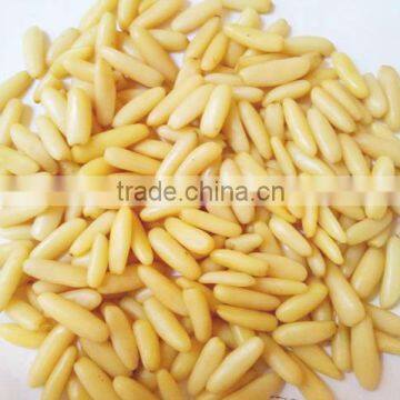 Pine nut Kernels