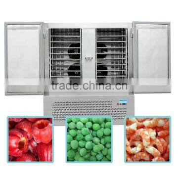 TKLD-250L Blast Freezer / Frozen Cabinet With CE Approval 005 photo-2