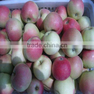 Fresh apple