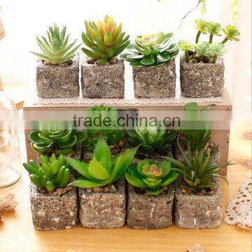 2016 Latest Design Artificial Succulent Pot Succulent Plants For Sale