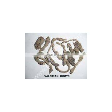 VALERIAN WALLACHI - VALEPOTRIATES 8.0%