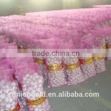 2016 new crop natural white garlic in purple mesh bag