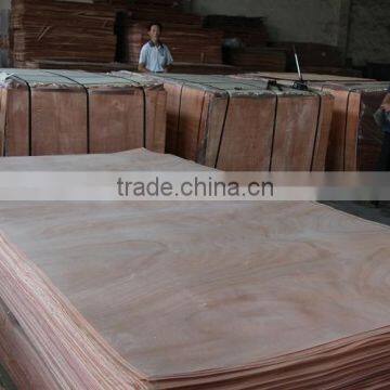 Wood Veneer Door Skin