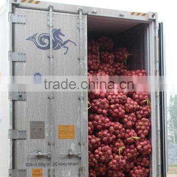 70mm Size Red Onion in 5kg Mesh Bag