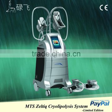 Cryolipolysis vacuum slimming machine,2014 new products Destroy fat in the treatment area,4 heads&2 can be used at a time