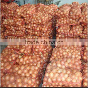 Onion From China