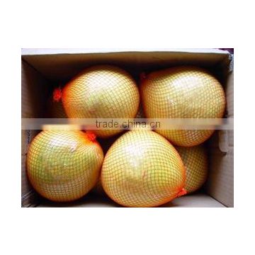 Fresh Chinese Honey Pomelo