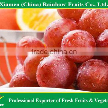 Fresh seedless grape red globe grapes