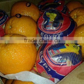 promotion of Fresh Orange