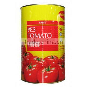 specification fresh tomato, bulk tomato paste Tomato Sauce tomato paste in sachets