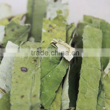 2015yr Dried Lotus Leaf Tea ,Tea Drink Lower Blood Fat,Chinese Herbal Medicine photo-4