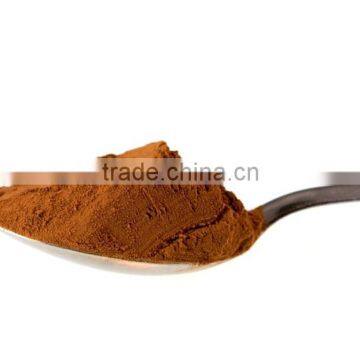 Organic Alkalized Cocoa Powder in Dark Brown