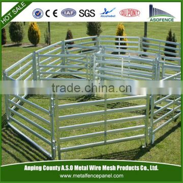 Australian standard cheap cattle yard panel/china manufacturer ISO9001 cattle yard panel /durable cattle yard panel for sale