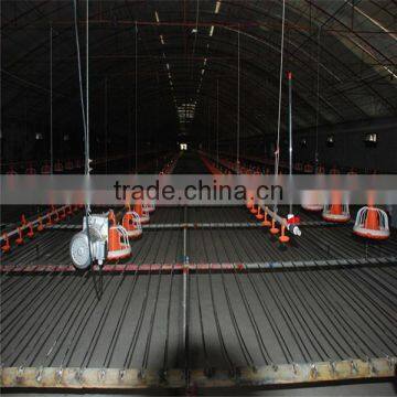 Automatic Feeding System Broiler Farm photo-2