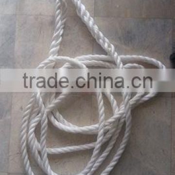 3 strand PP Danline lifting rope( 18mm dia x 8m length )