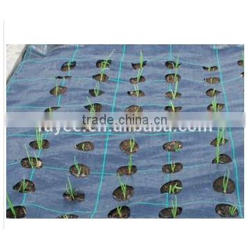 Environmentally Safe Long Term Landscapes Agriculture Plastic Weed Mat Ground Cover