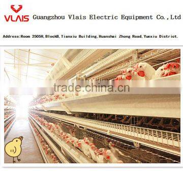 Guangzhou factory supply A type galvanized chicken poultry layer cage bird cage for sale