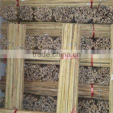 natural dry straight and strong bamboo canes