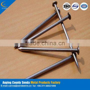 Best Sales Products in Large Concrete Steel Nail photo-5
