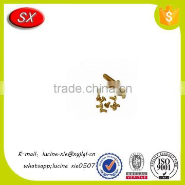 Customized non standard brass machine screw brass pan head screw