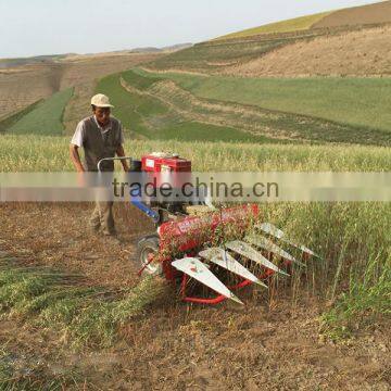 Yancheng Latest Small Agriculture Machinery photo-6