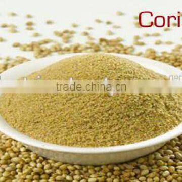 Coriander Powder photo-3