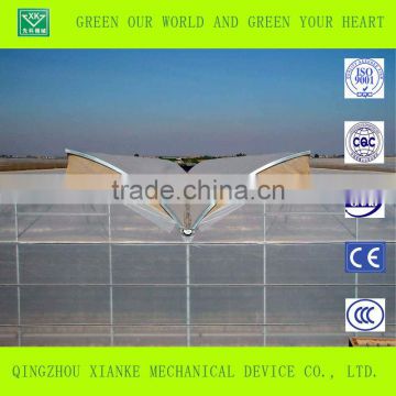 Galvanized Steel Frame 8mm/10mmSingle-span/multi-span Polycarbonate Greenhouse