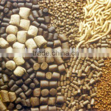 High Quality Food Production Line photo-2