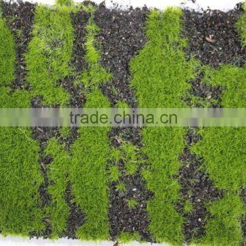Artificial Moss Grass Wall for Decoration Real Artificial Moss Mat photo-5