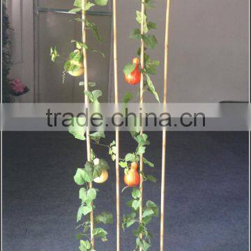 landscape decorative artificial gourd plant