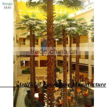 Garden Outdoor Uv-protected Date Palm Tree Canary Date Palm Tree photo-2