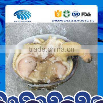 Frozen Huge Clam Wild Caught photo-3