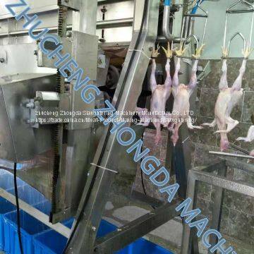 Poultry Slaughter Machine Line -UAE Project photo-4