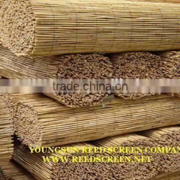 Water Reed for Thatching Roof photo-5