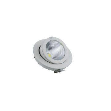 20W COB LED Down Light
