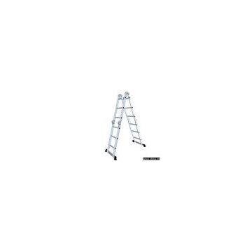 Multi-purposes Ladder