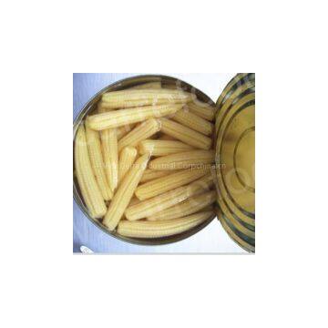Caned Tin Sweet BABY CORN Vietnam 2016 ( Jolie Whatsap Vibe 84 98 358 7558)
