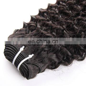 Top Sell Full Cuticle No Shedding Brazilian Kinky Curl Human Hair Extension For Black Women photo-6