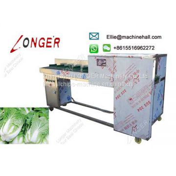 Vegetable Root Cutting Machine