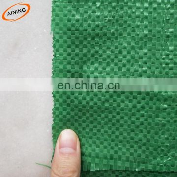 PP Plastic ground cover cloth green color for strawberries