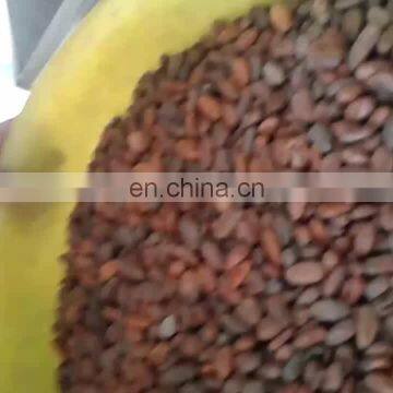 electric cocoa roasting machine, gas cocoa bean roasting machine