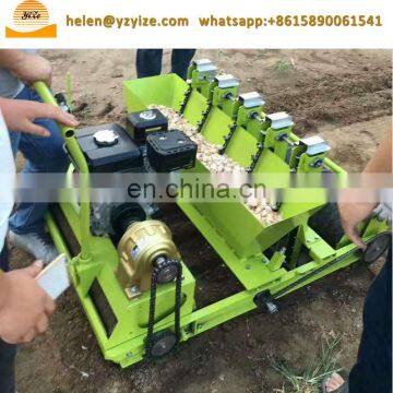 Garlic Seed Planter for Garlic Planting Machine photo-4