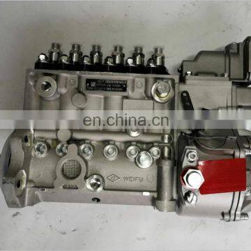 6CT diesel engine parts fuel injection pump 3973845