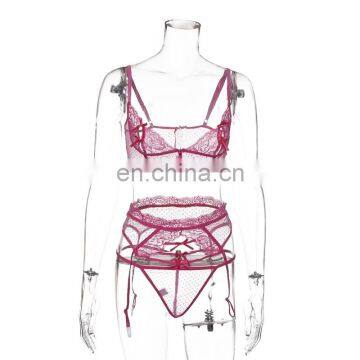 2021 New Fashion Erotic Hot Transparent Sexy Underwear Women Sexy Lingerie photo-5
