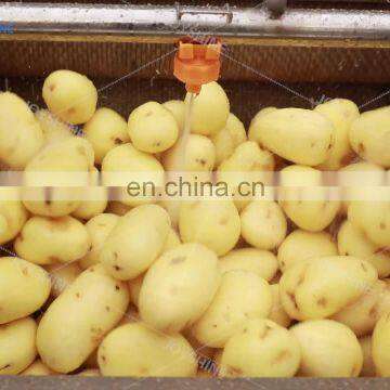 New Design Small Scale 300kg/h Ginger Washing and Peeling Machine with Control Panel