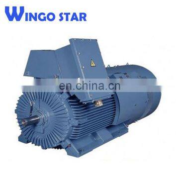 Magnetic Universal Electric Motor