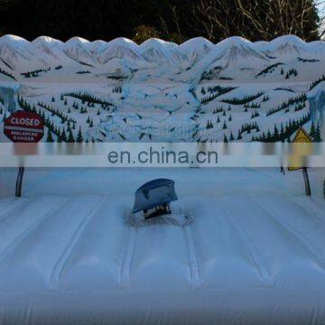 Snow World Theme Mechanical Inflatable Surf Simulator Mechanical Surfboard Fun Game For Sale
